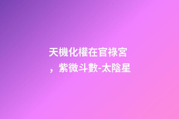 天機化權在官祿宮，紫微斗數-太陰星-第1張-觀點-玄機派